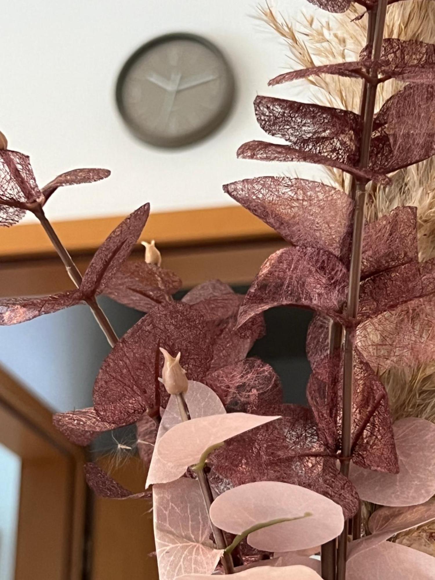 Auszeit Im Pott - Ferienwohnung Lavendel Хертен Екстериор снимка