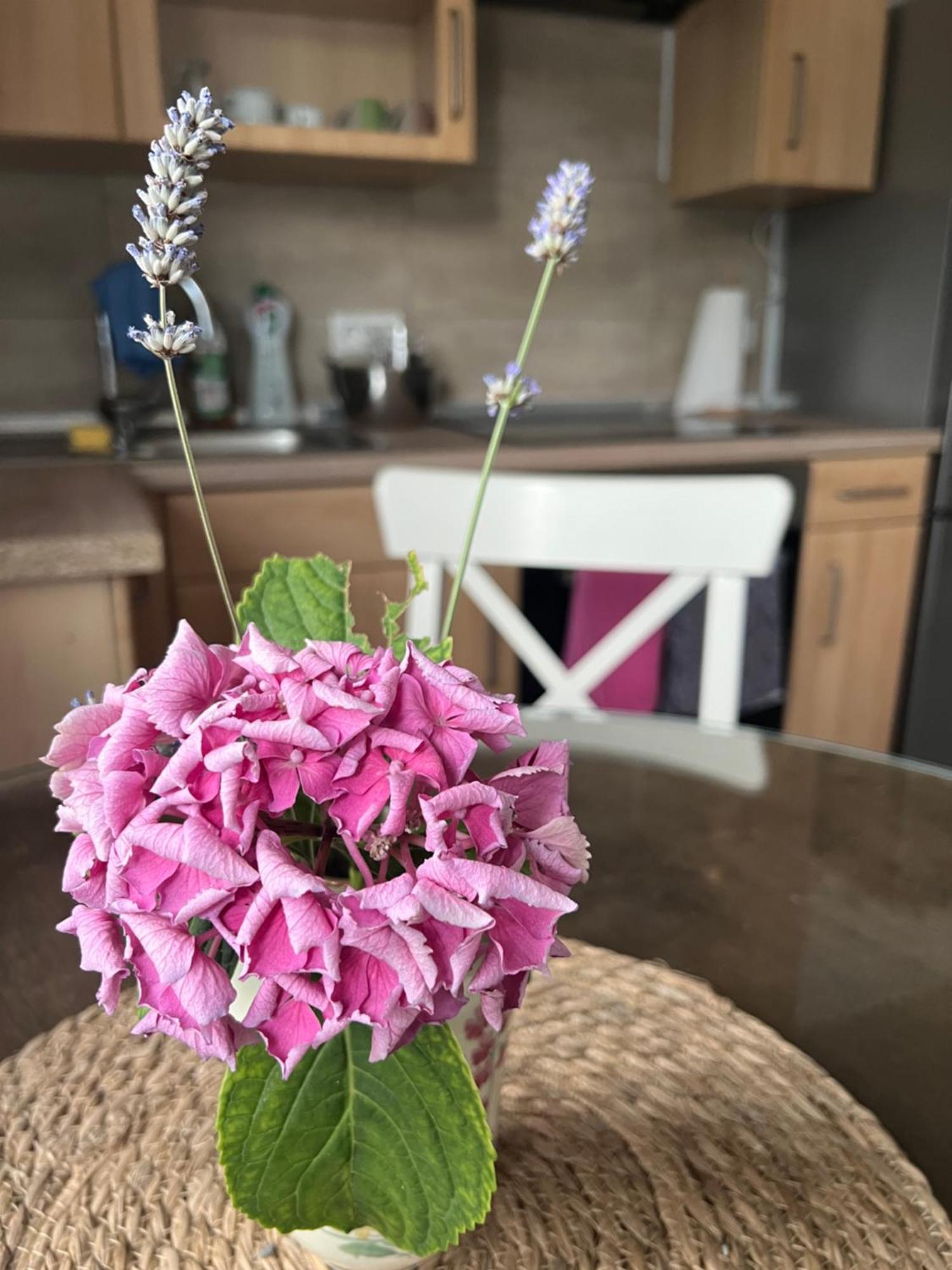 Auszeit Im Pott - Ferienwohnung Lavendel Хертен Екстериор снимка